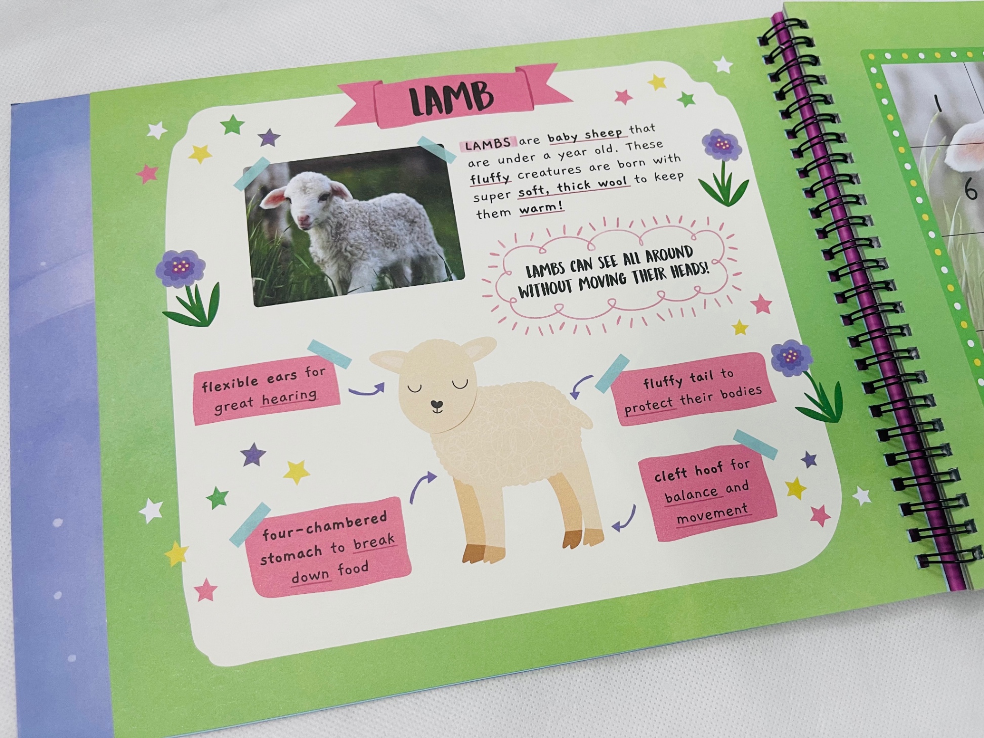 LITTLE WONDERS STICKER BY NUMBER - BABY ANIMALS lỗi nhẹ do VC (Giá bìa 322k)