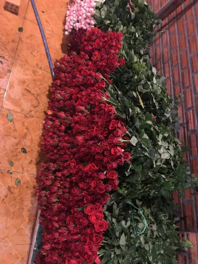 Hoa hồng sỉ AA19