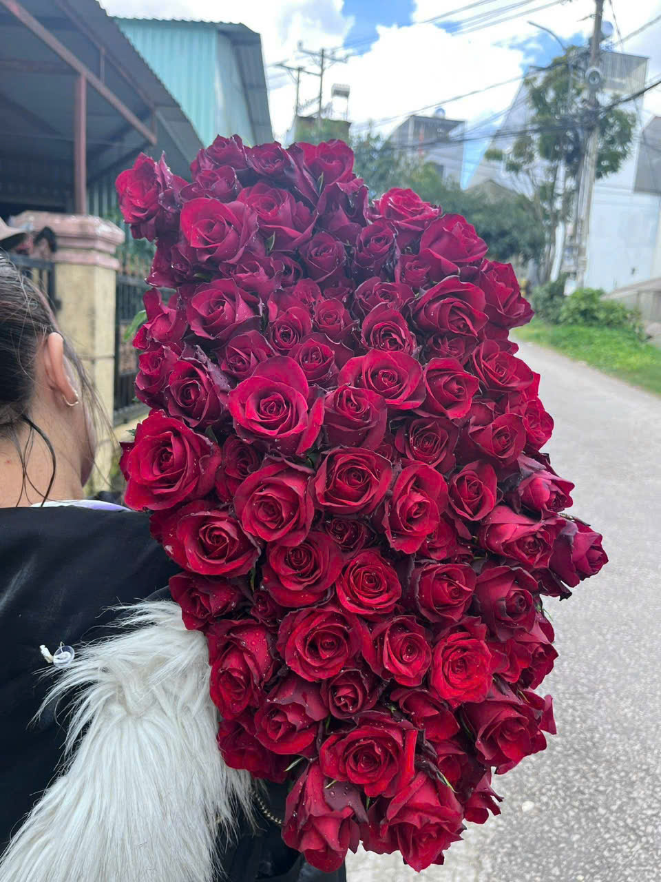 Hoa hồng sỉ AA23