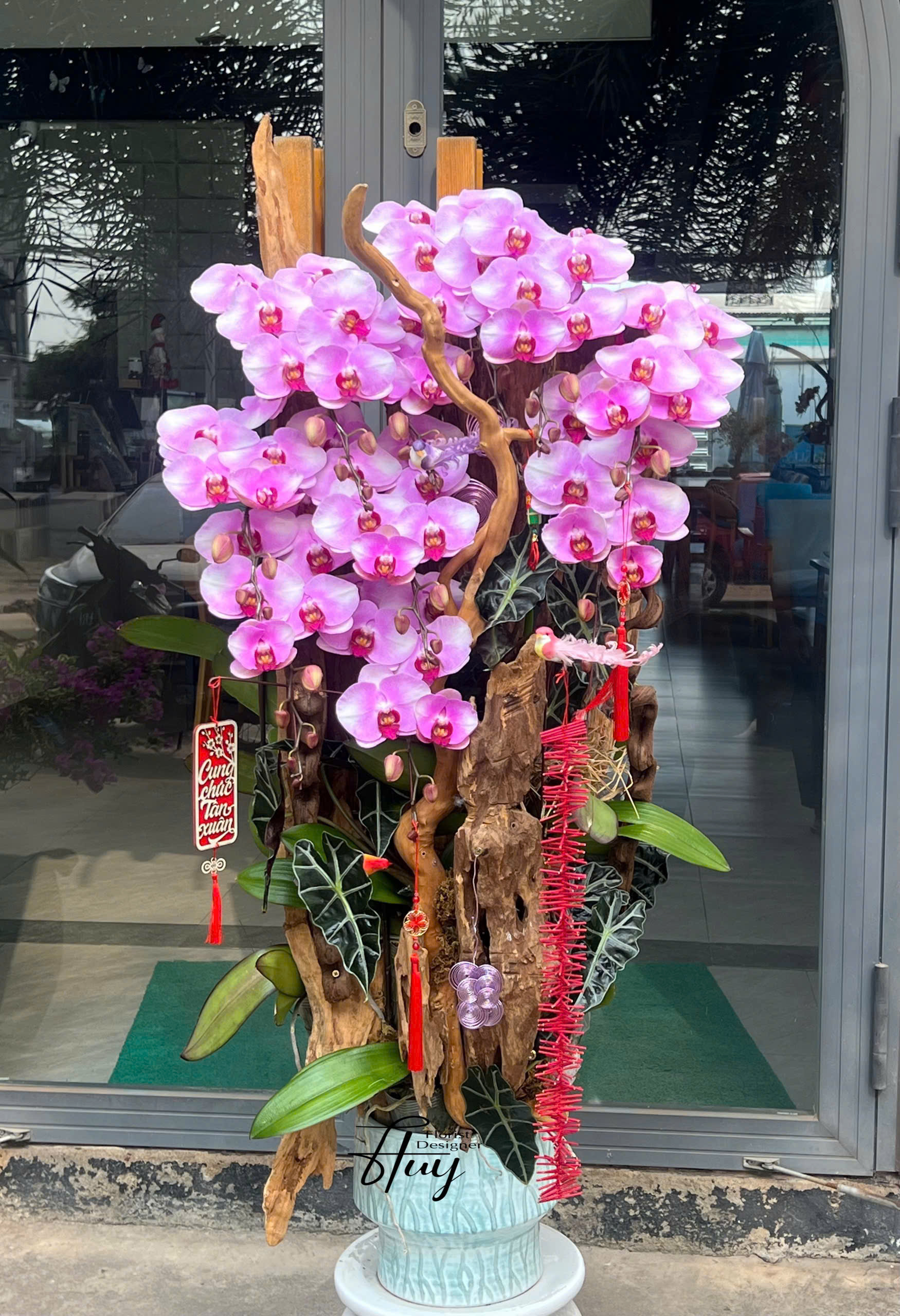 Lan hồ điệp S031