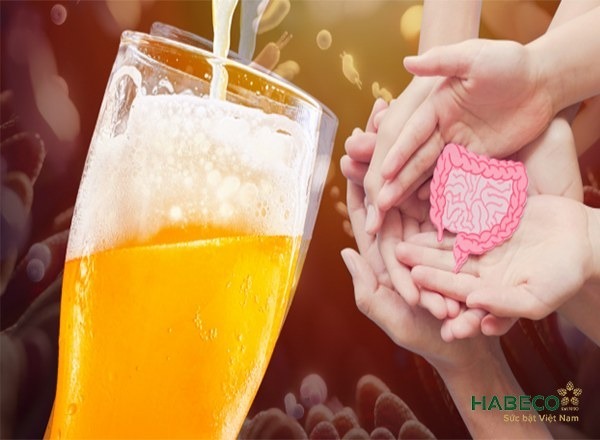 Giúp tiêu hoá tốt