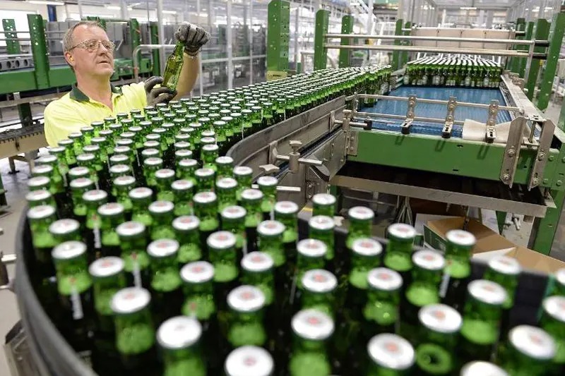 Lên men (Primary Fermentation)
