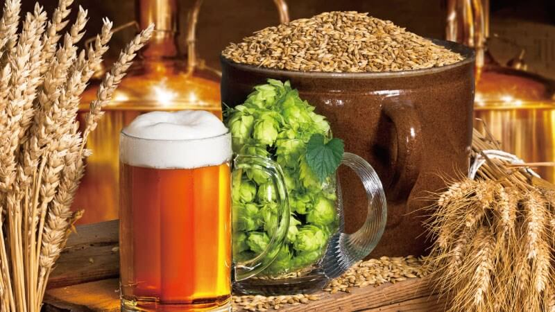 [Giải đáp] Uống bia trước khi ngủ có tốt không?