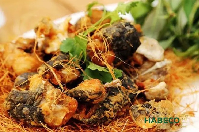 các món nhậu làm từ các loại thịt như thịt ếch
