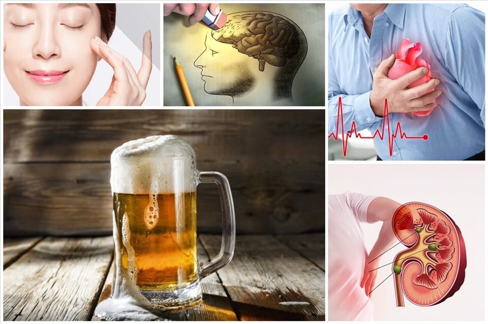Uống bia mang lại lợi ích cho tim mạch