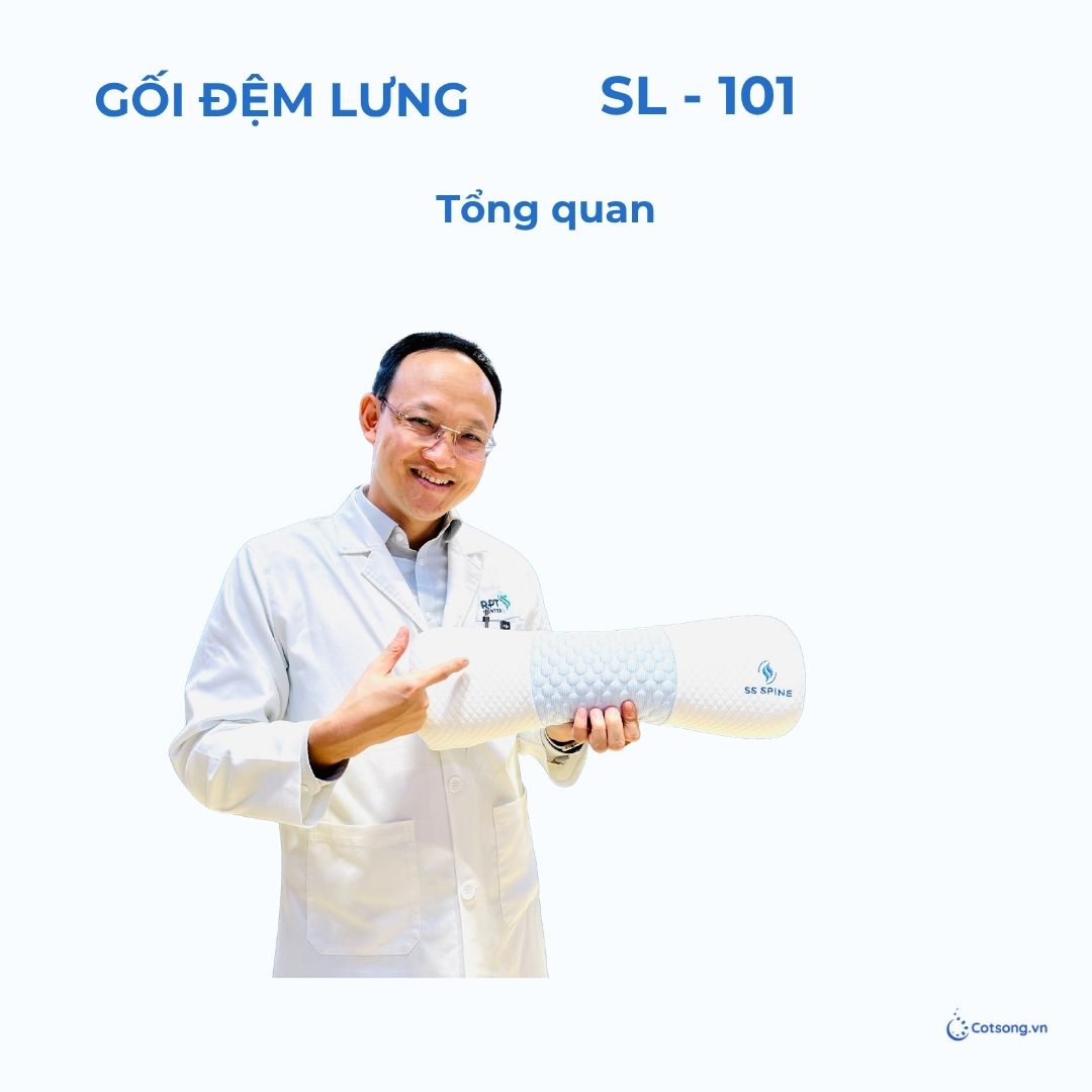 Gối Foam Đệm Lưng - SL101