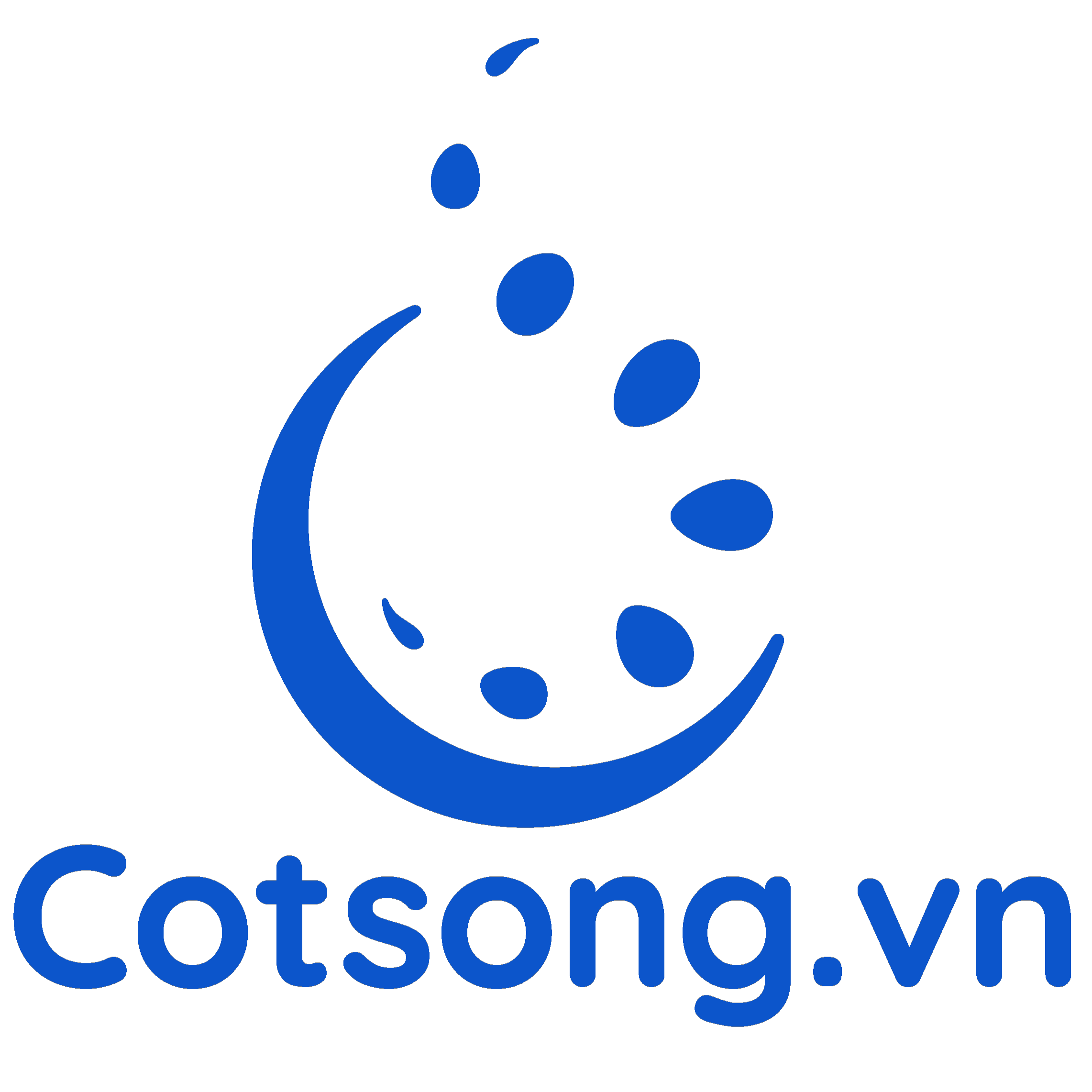 cotsong.vn