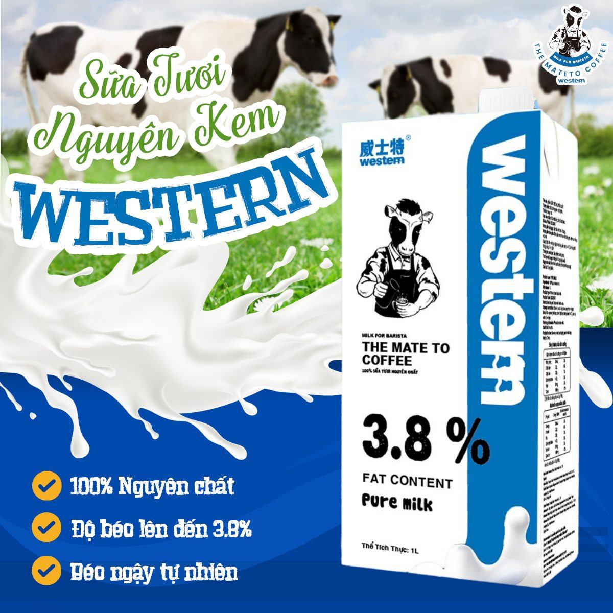 GIỚI THIỆU SẢN PHẨM SỮA WESTERN – CHUẨN CHẤT LƯỢNG, ĐẬM VỊ TỰ NHIÊN