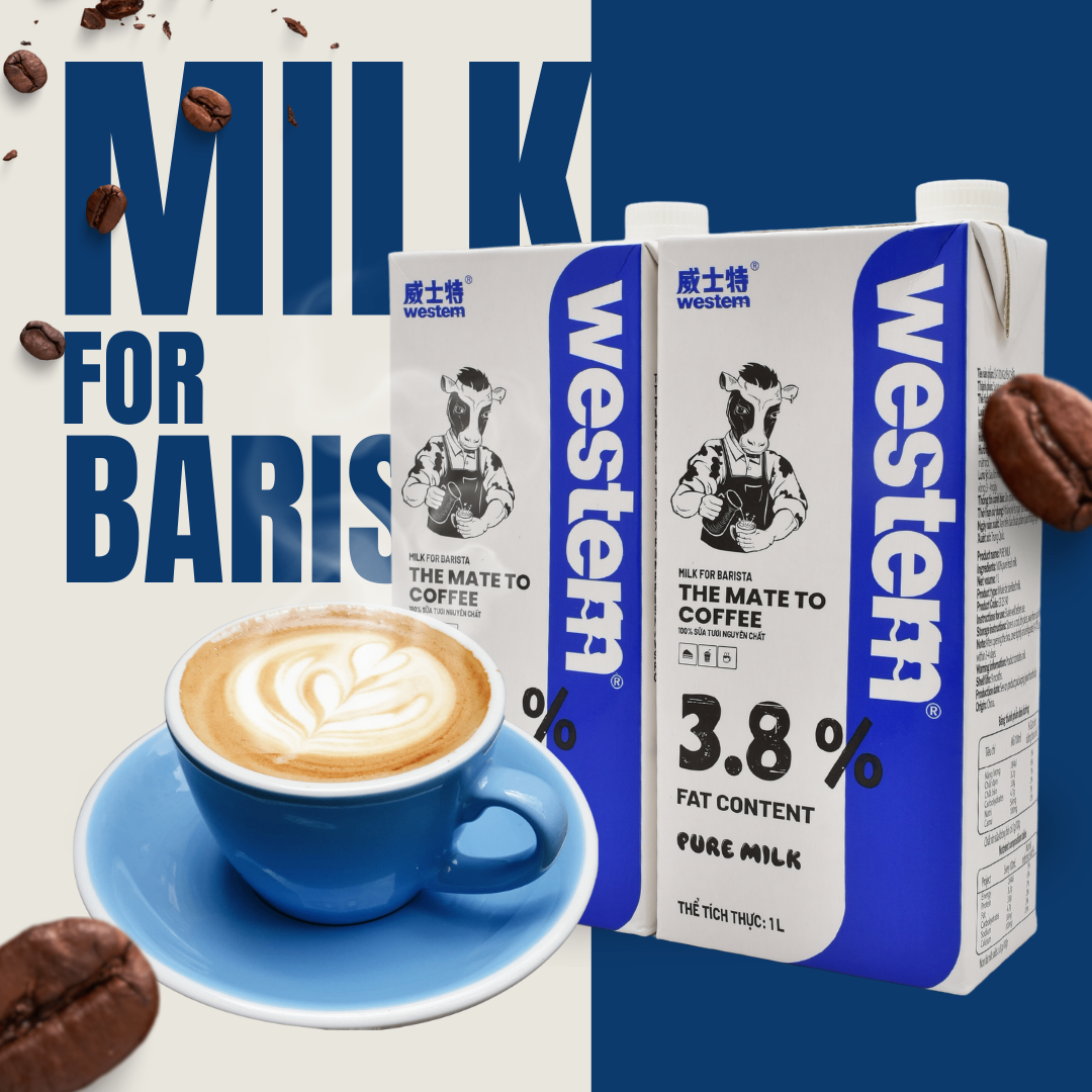 Western Milk – Sữa tiệt trùng hoàn hảo cho pha chế cà phê