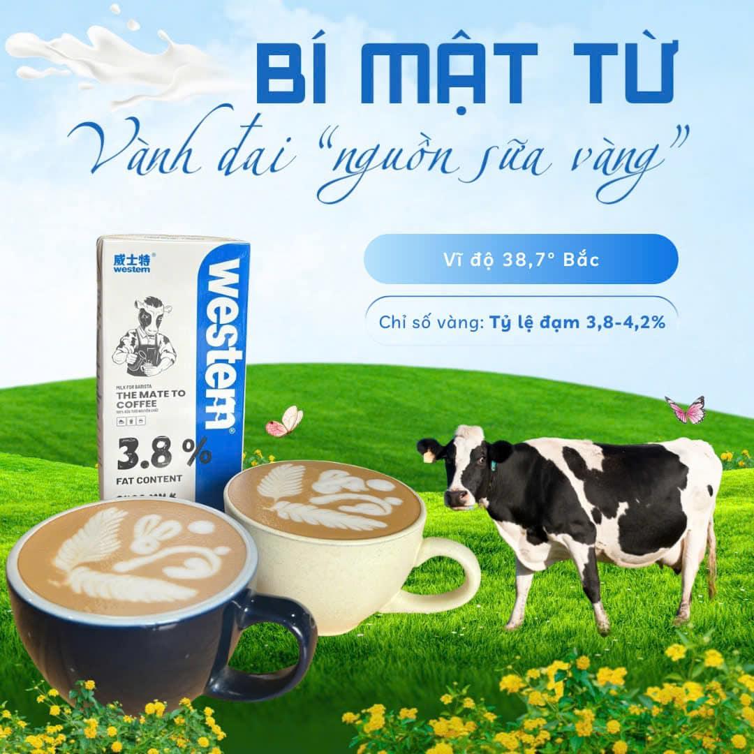 Bí mật từ “Vành Đai Nguồn Sữa Vàng” – Sữa Tươi Western