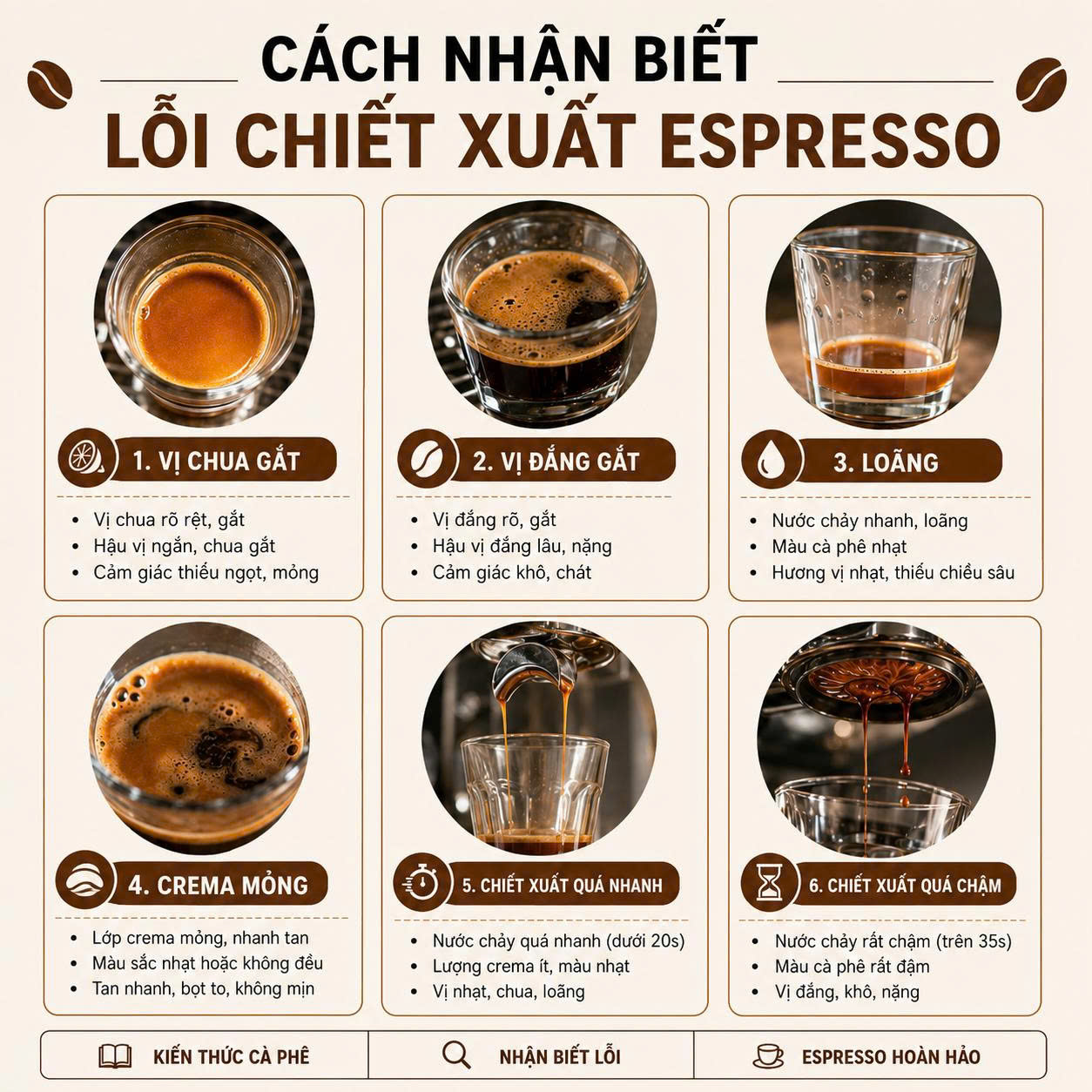 6 Lỗi Chiết Xuất Espresso Thường Gặp Và Cách Khắc Phục Chuẩn Barista