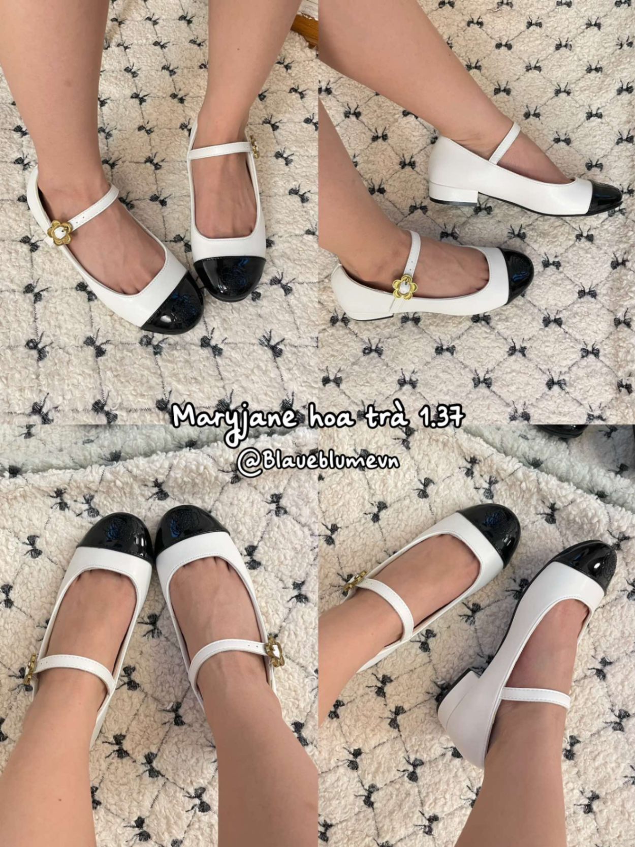 Mj hoa trà 1.37 trắng, hộp trắng 666