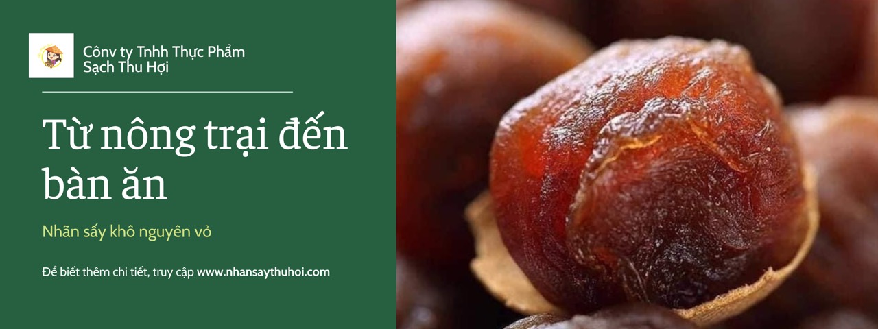 Câu chuyện Thực phẩm sạch Thu Hợi và hành trình gắn bó với trái nhãn