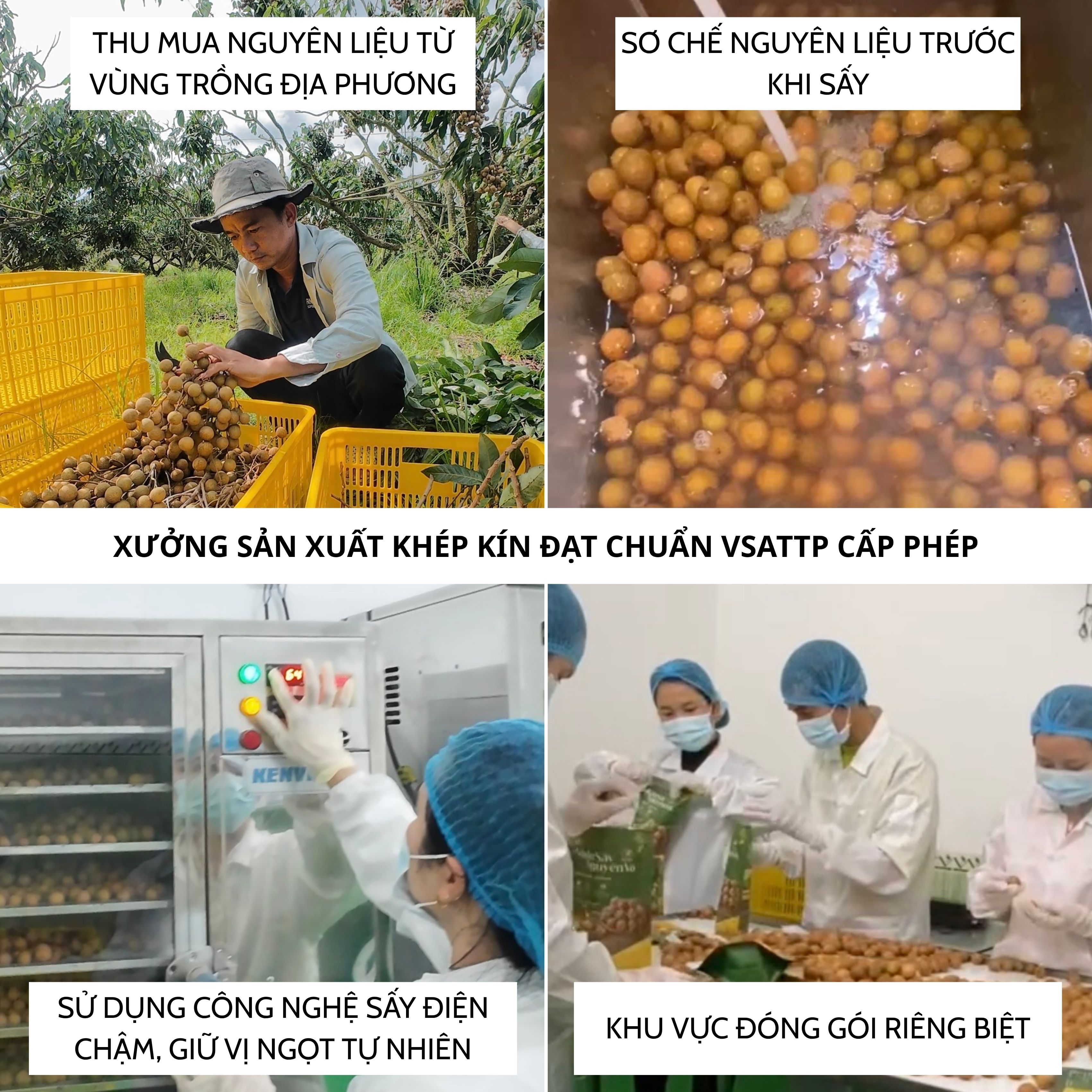 MIX 3 TÚI XUỒNG QUẾ THÁI 500G