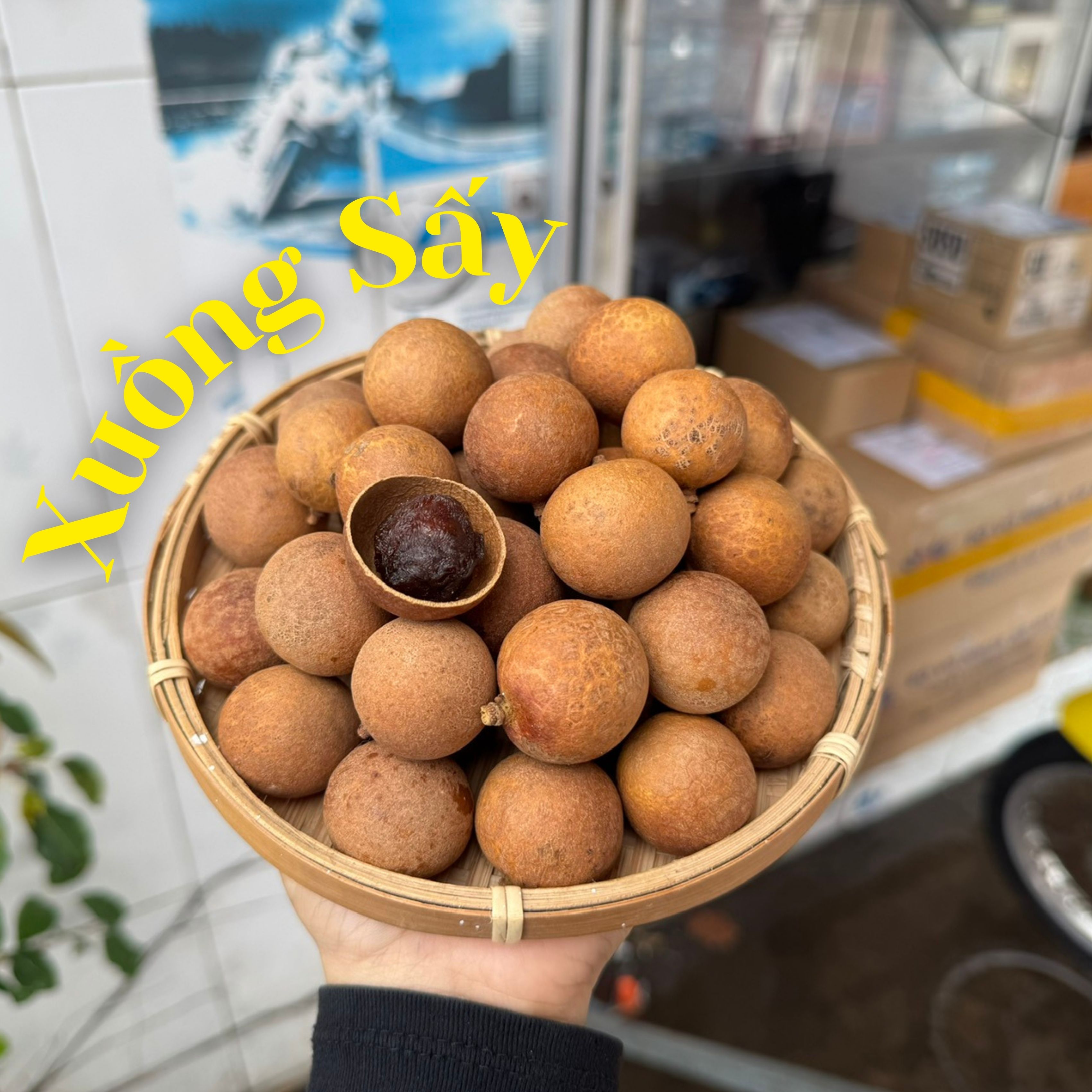 Nhãn Xuồng Sấy Nguyên Vỏ Hộp 500g - HXS