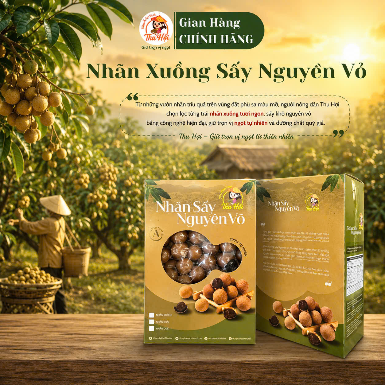 Nhãn Xuồng Sấy Nguyên Vỏ Hộp 500g - HXS