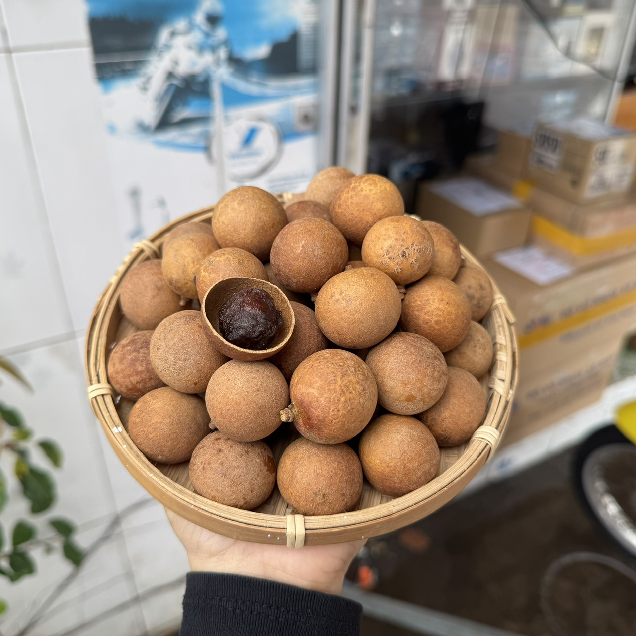 Nhãn xuồng sấy nguyên vỏ túi 300gr