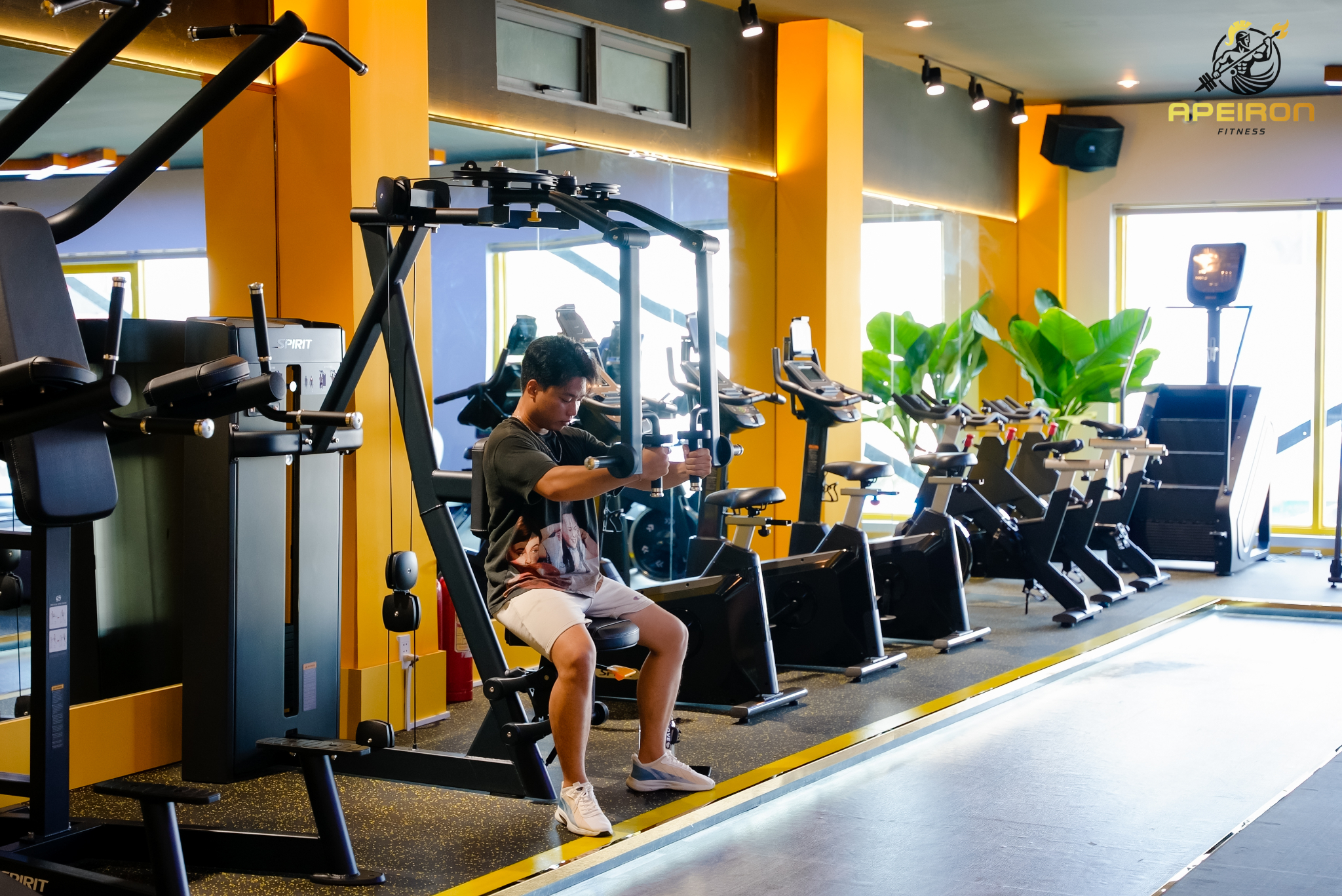 GYM