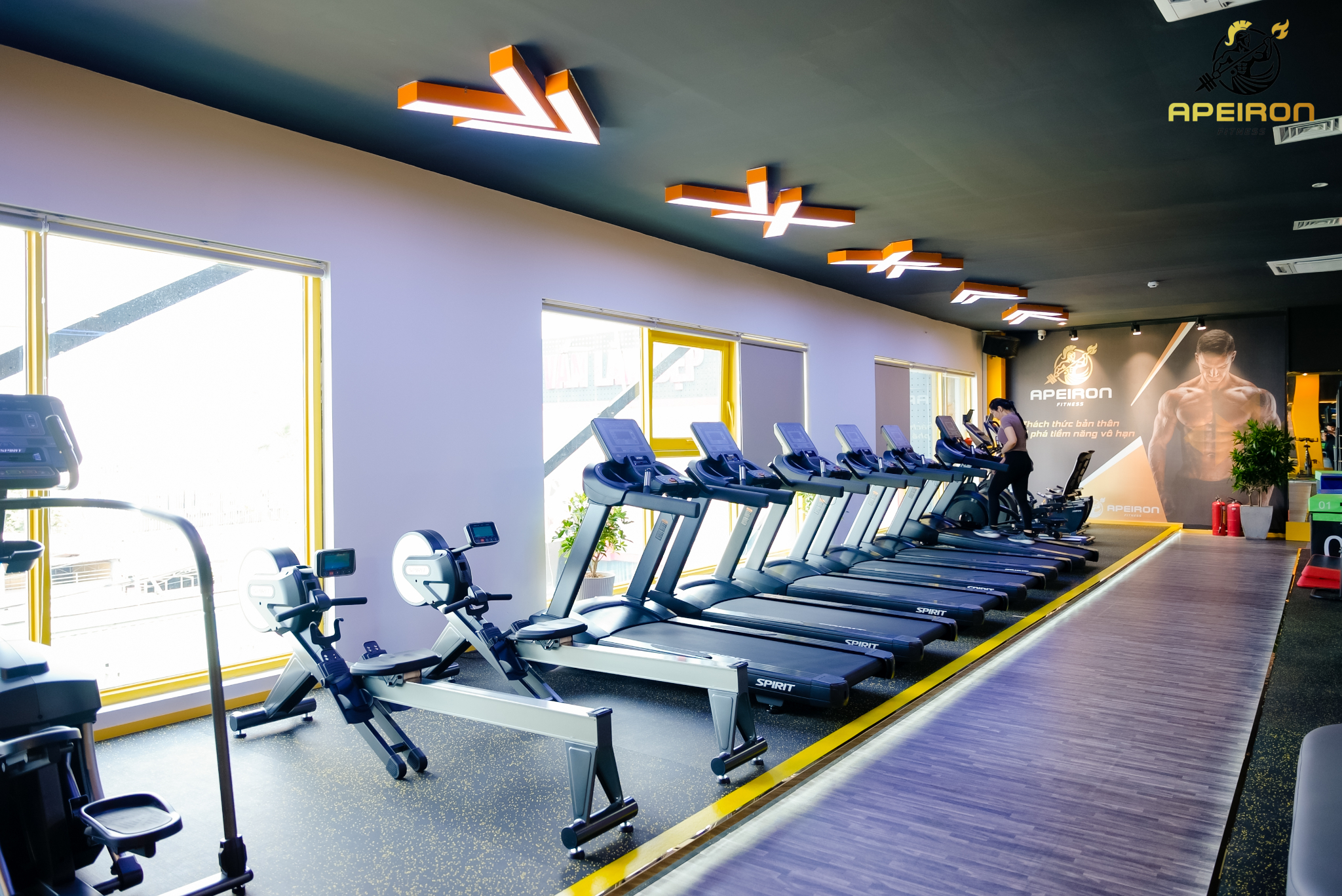 GYM