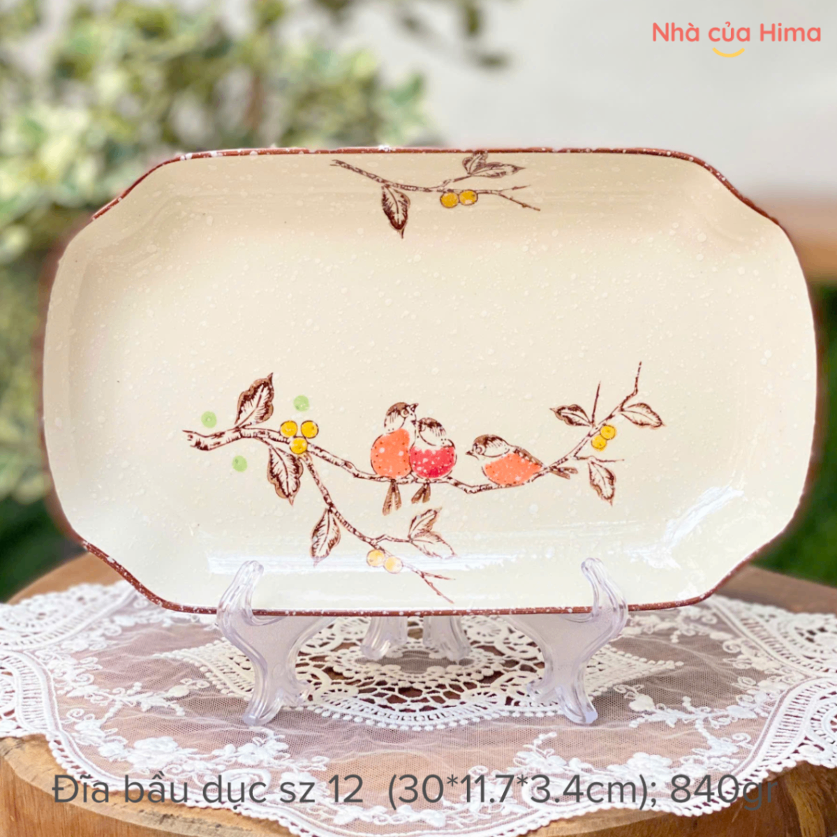 Đĩa bầu dục hoa và chim sz 12