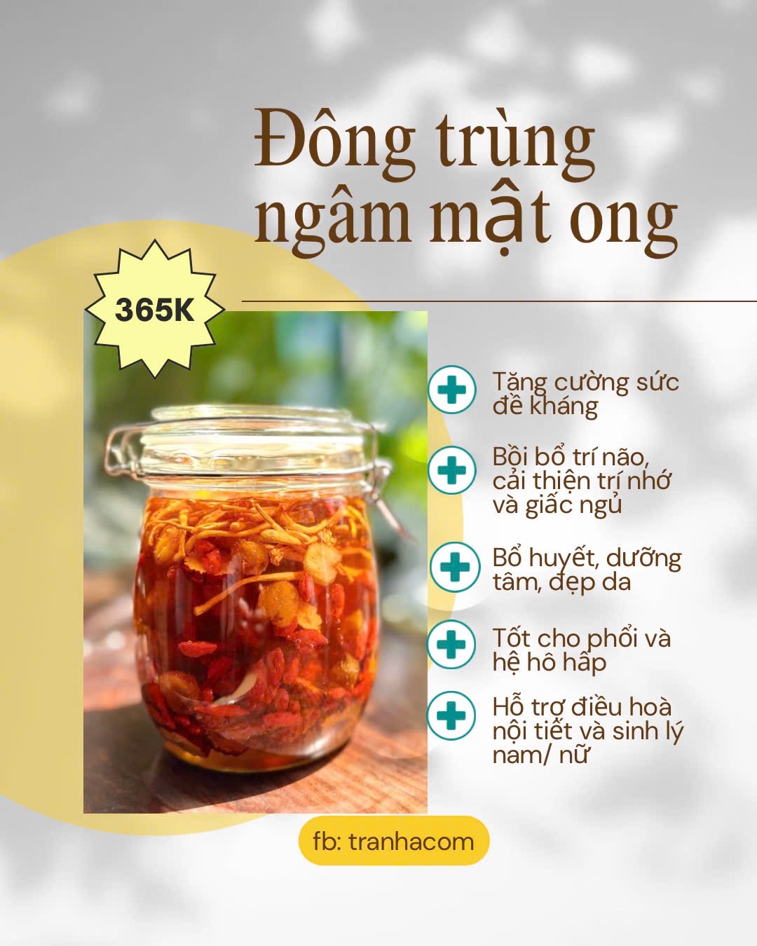 Hũ đông trùng hạ thảo ngâm mật ong 750ml