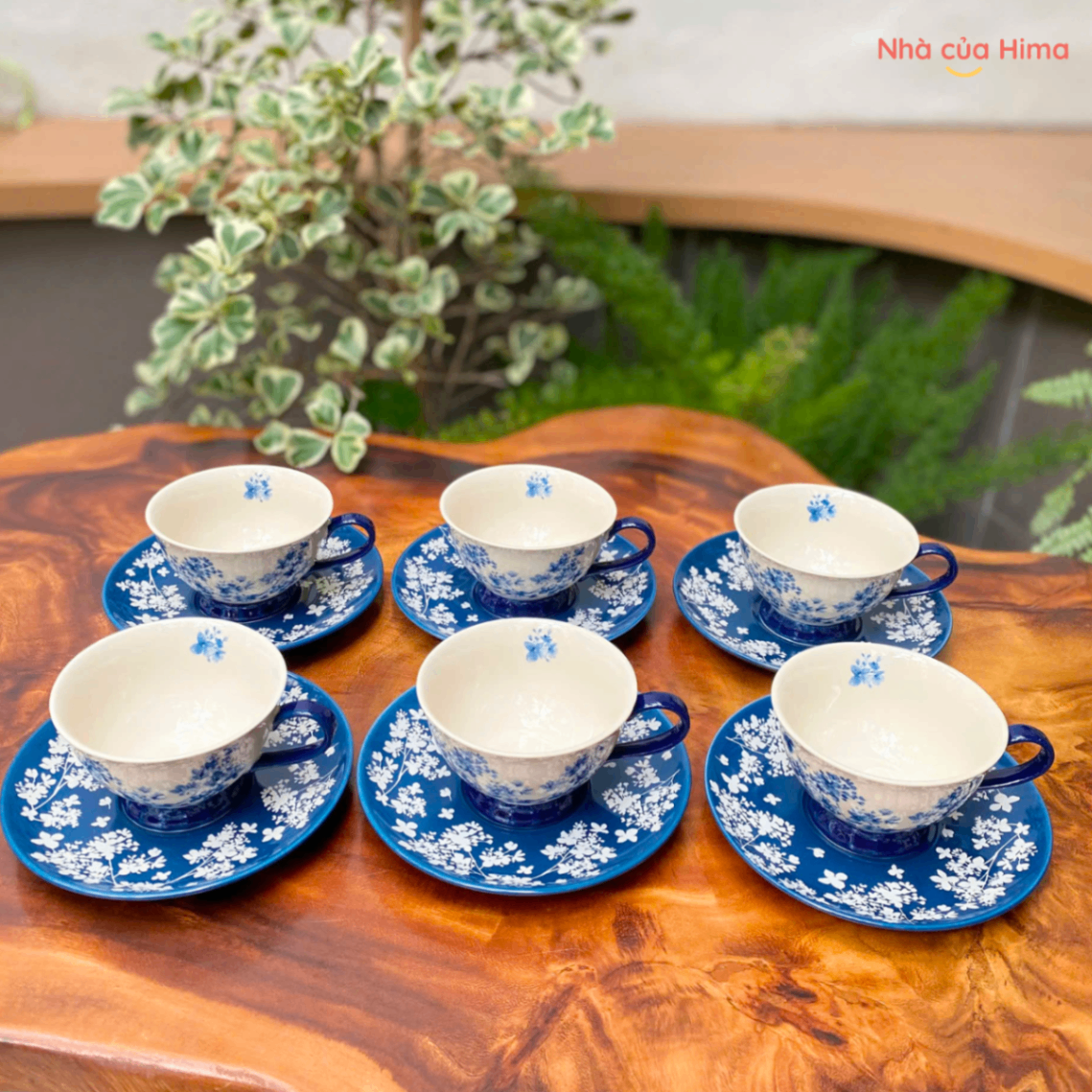 Combo 6 set cốc lam hoa anh đào
