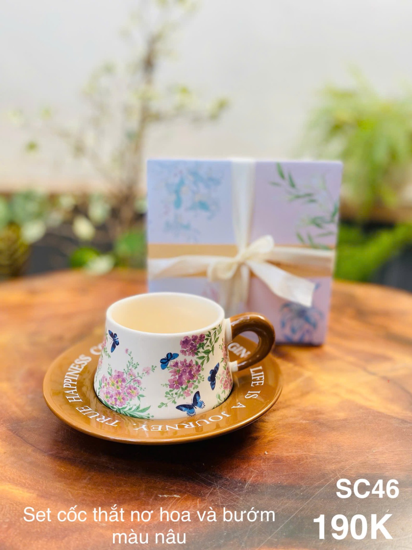 Set cốc thắt nơ hoa và bướm màu nâu SC46