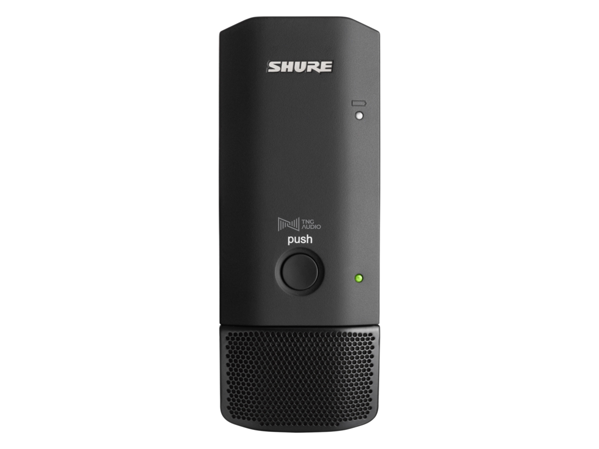 SHURE MXW6