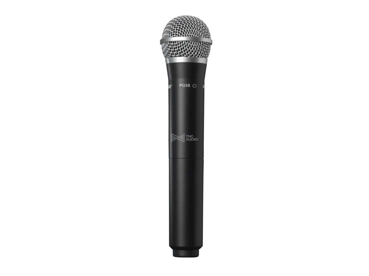 SHURE SVX24/PG58