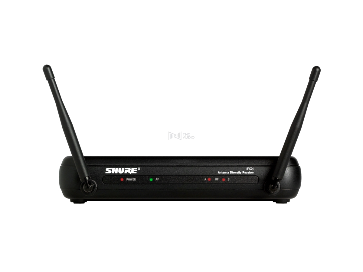 SHURE SVX24/PG58