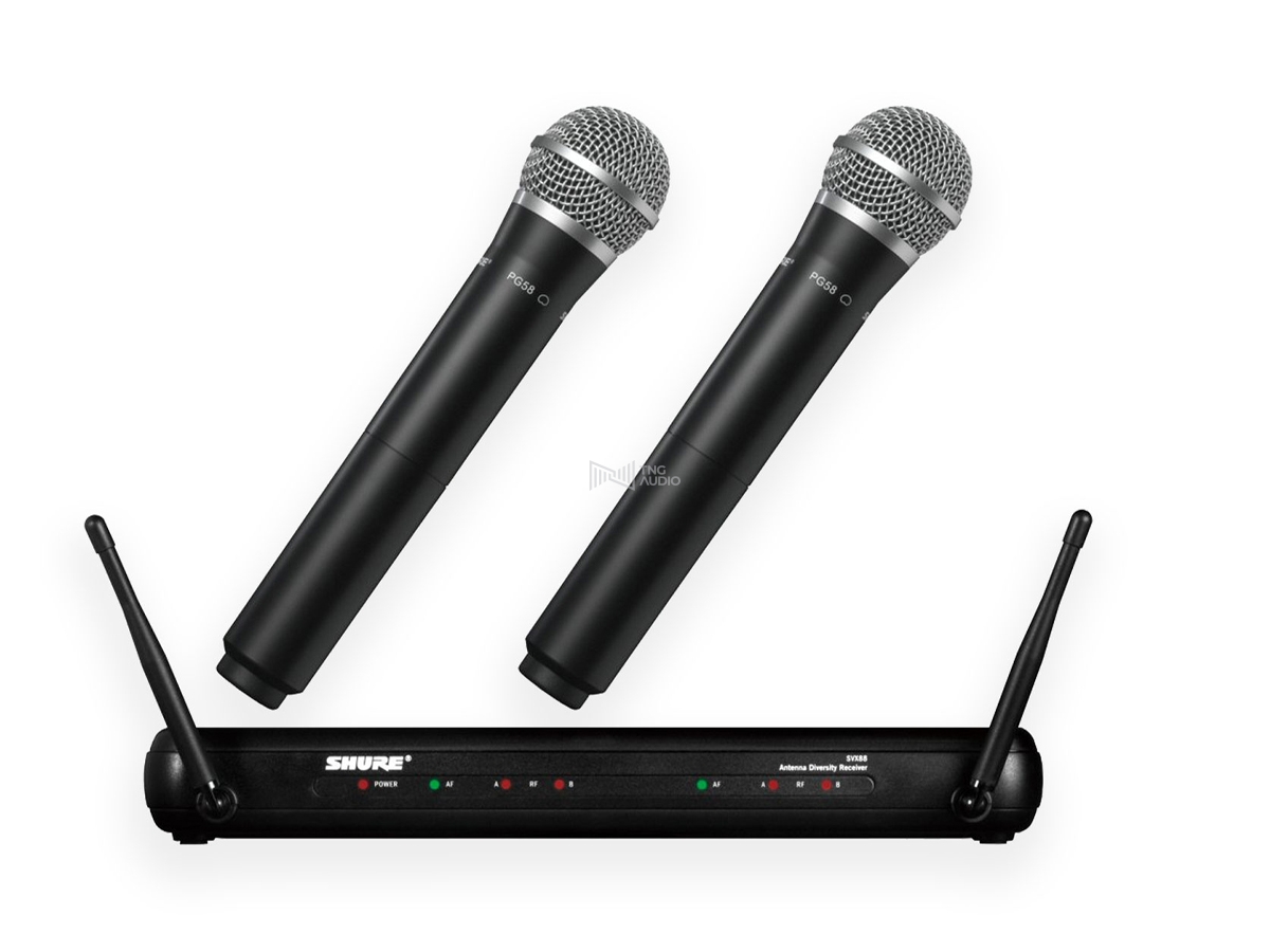 SHURE SVX288/PG58