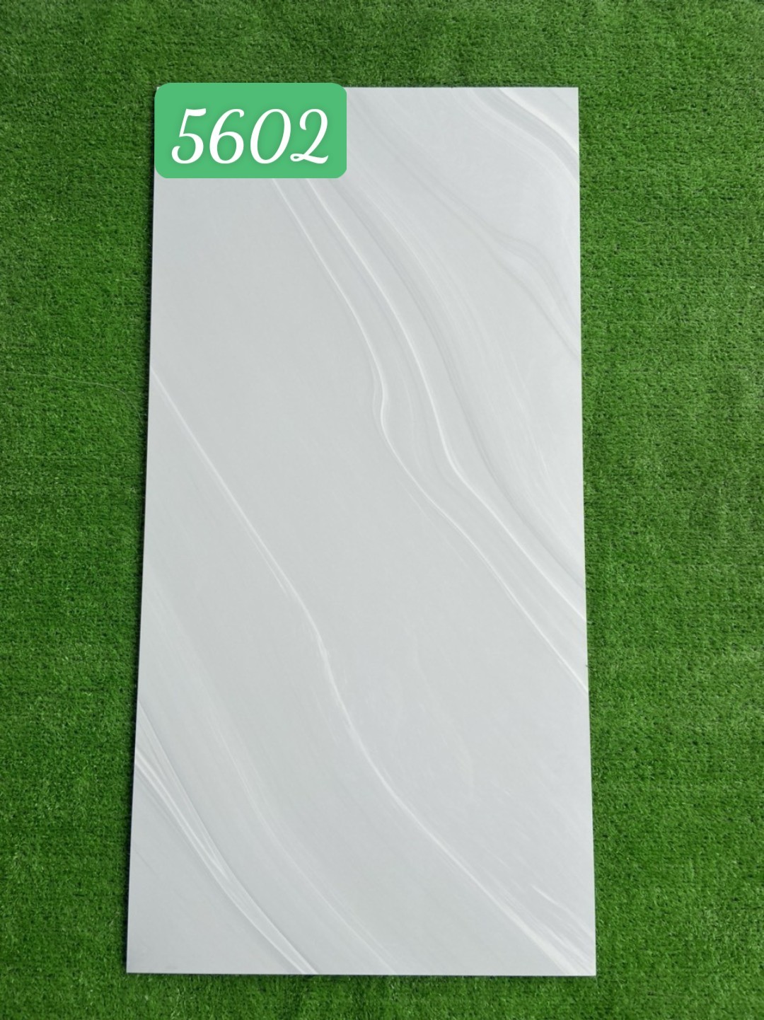 Gạch lát nền, ốp tường 50x100cm 5602