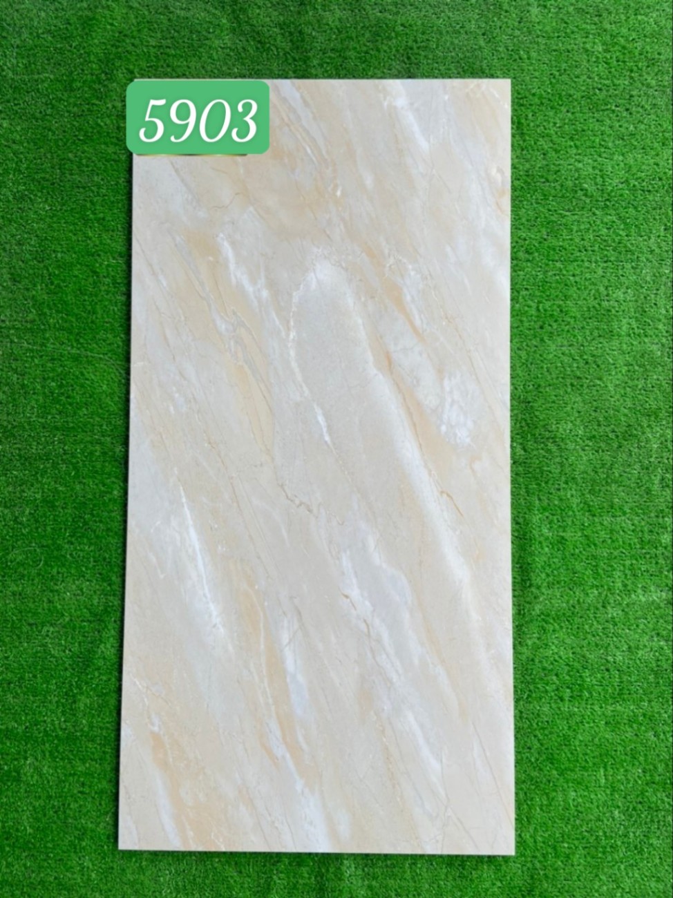 Gạch lát nền, ốp tường 50x100cm 5903