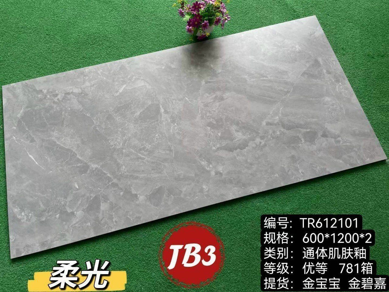 Gạch ốp tường 60cm x 120cm MATT CN601205