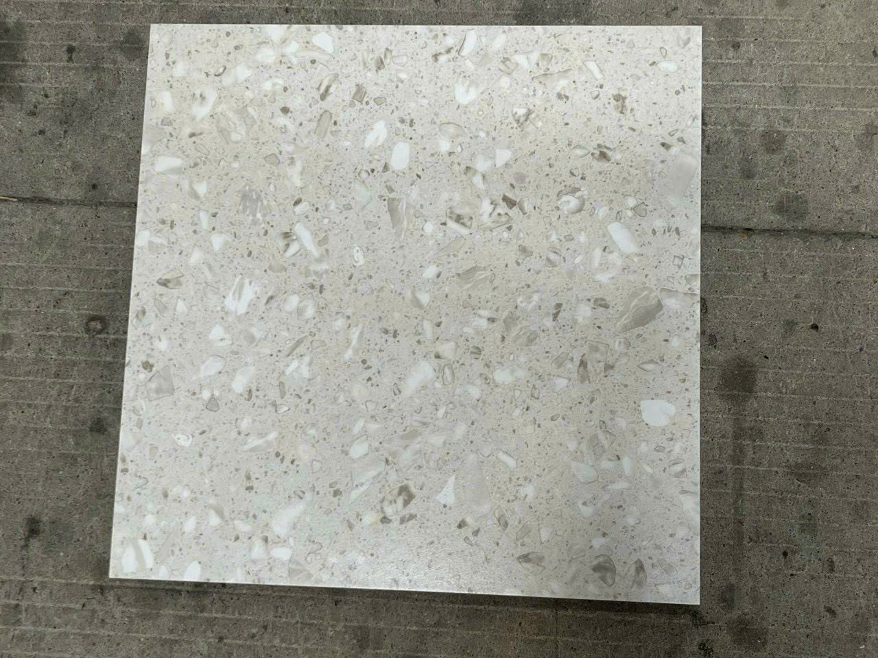 Gạch Terazzo 60x60cm TZ6066