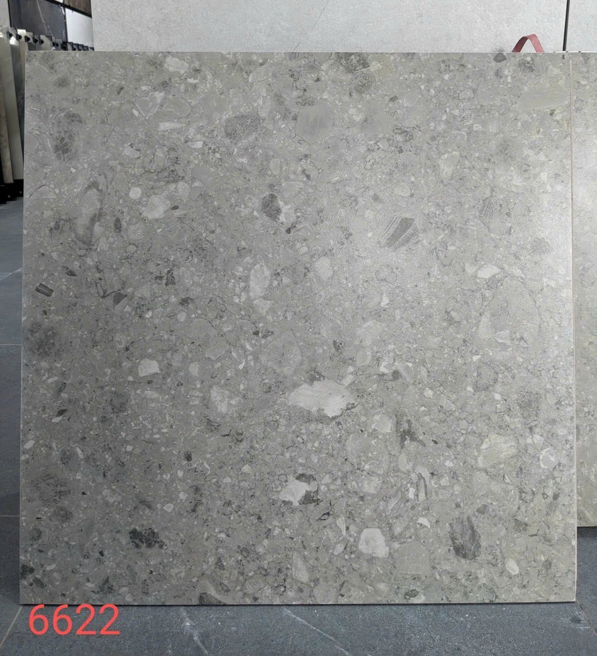 Gạch Terazzo 60x60cm TZ60612