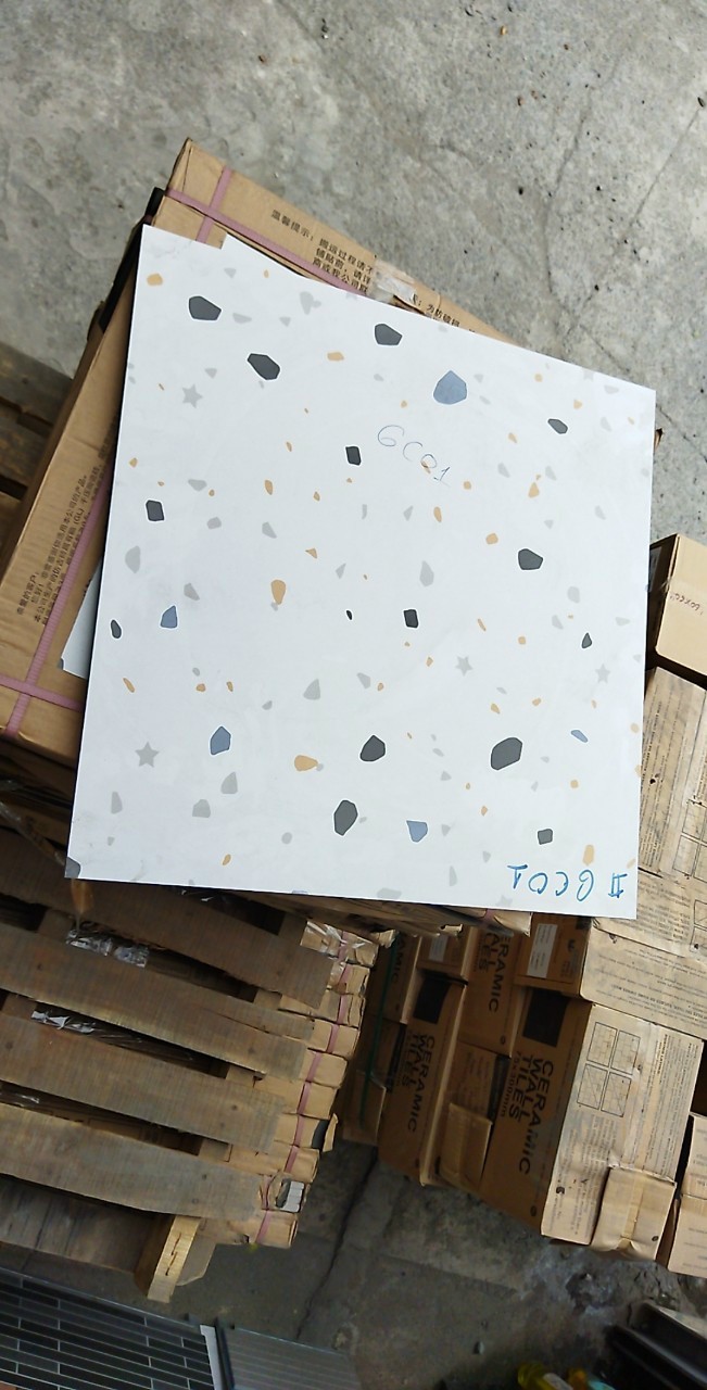 Gạch Terazzo 60x60cm TZ60624