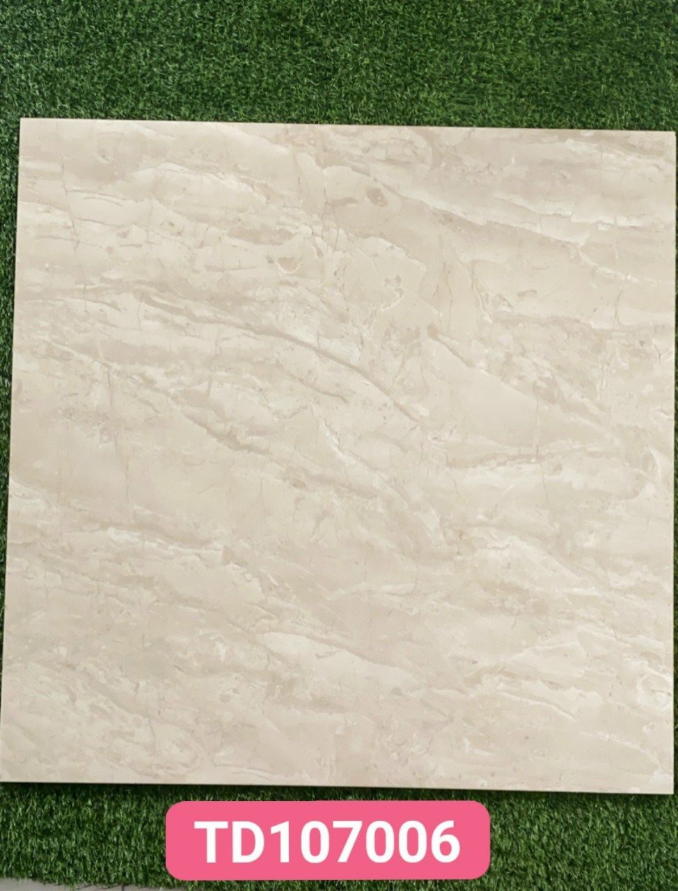 Gạch 100x100cm TD107006