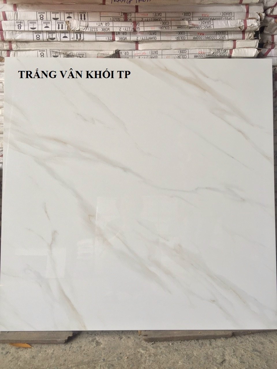 Gạch 100x100cm trắng vân khối tp1