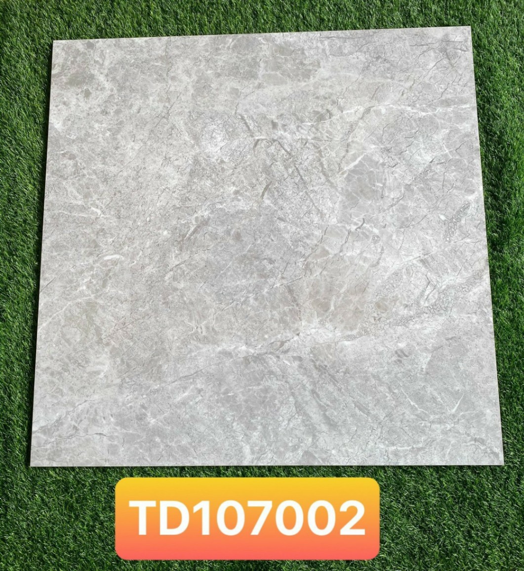 Gạch 100x100cm TD107002