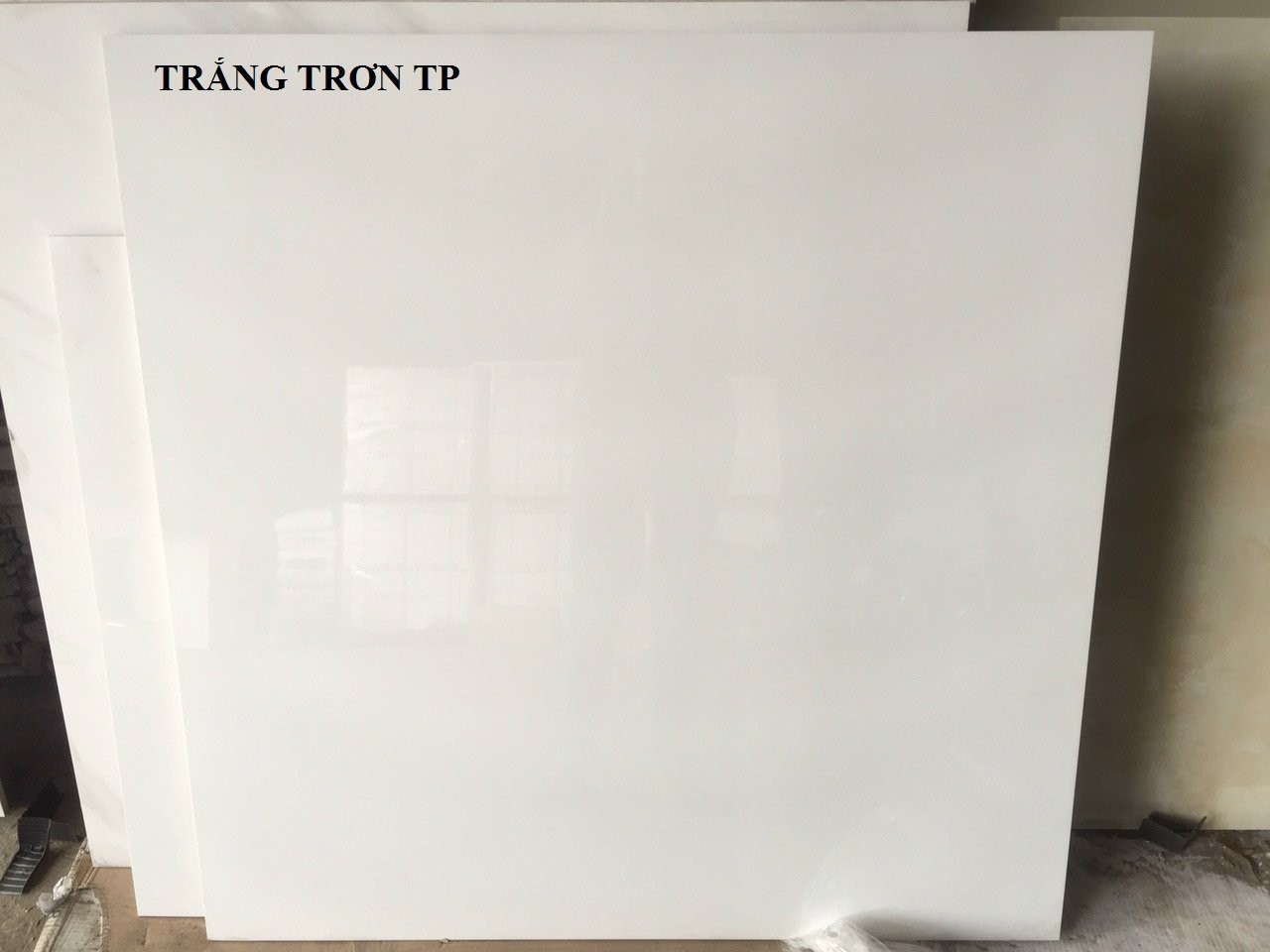 Gạch 100x100cm trắng trơn tp