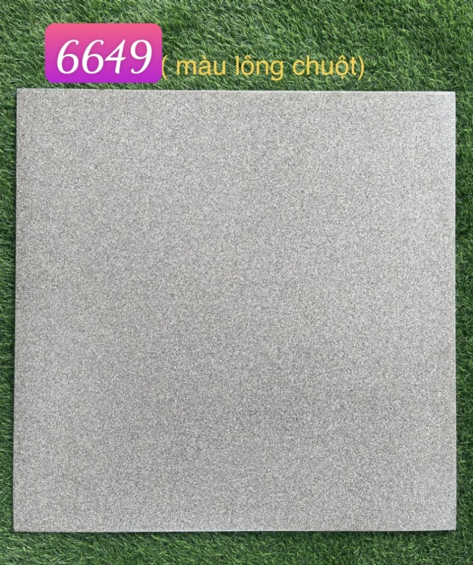 gạch 60x60 x6649