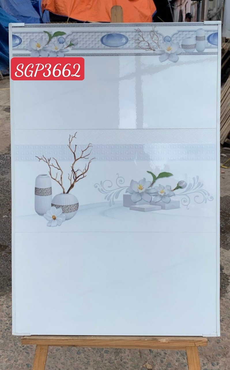 Gạch ốp tường 30x60cm SGP3662