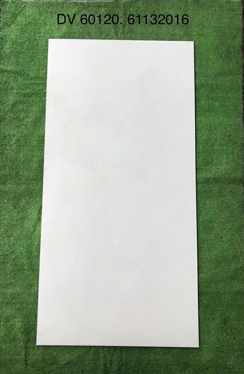 Gạch ốp lát 60x120cm - 61132016