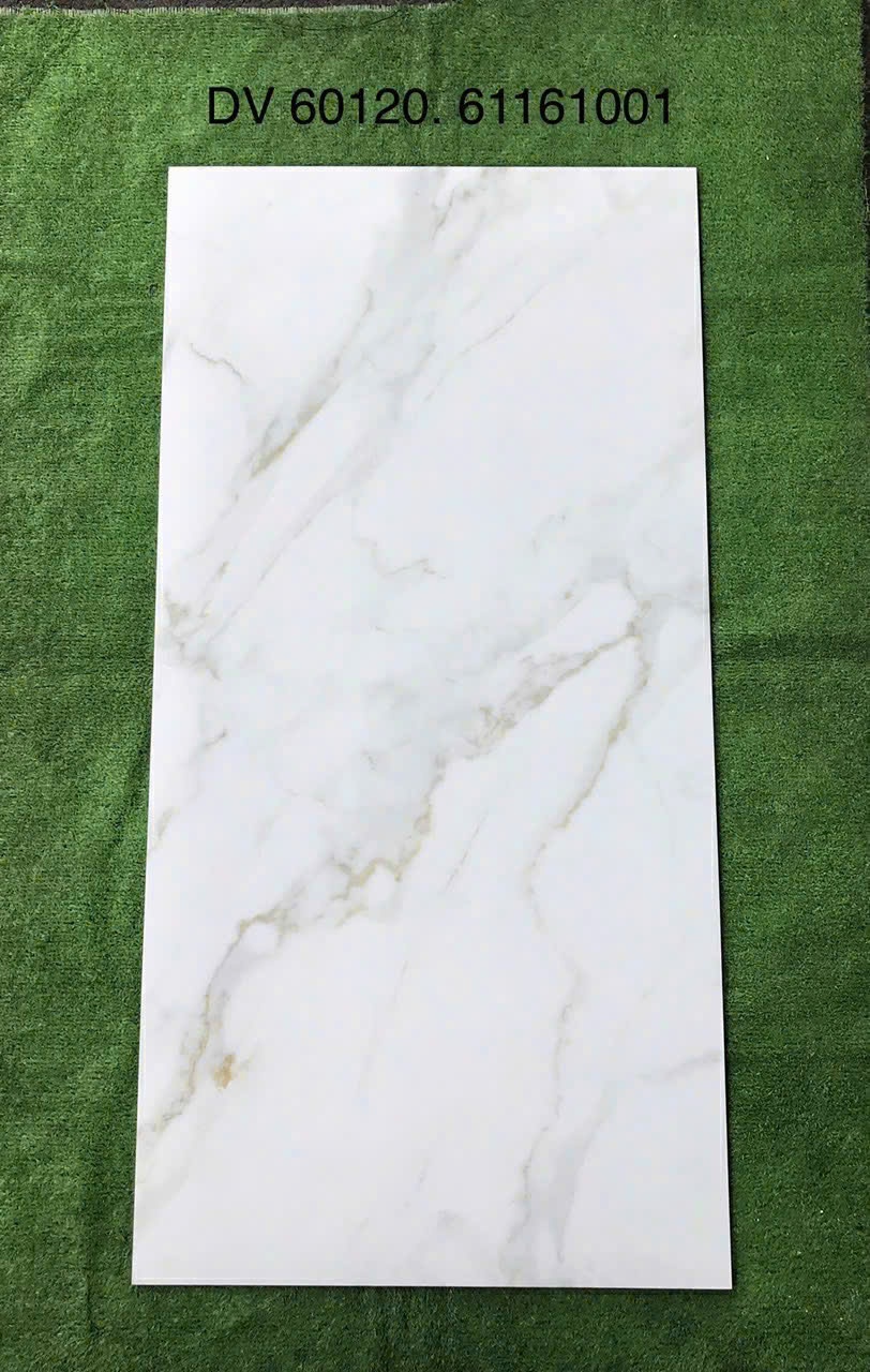 Gạch khổ lớn 60x120cm - 61161001