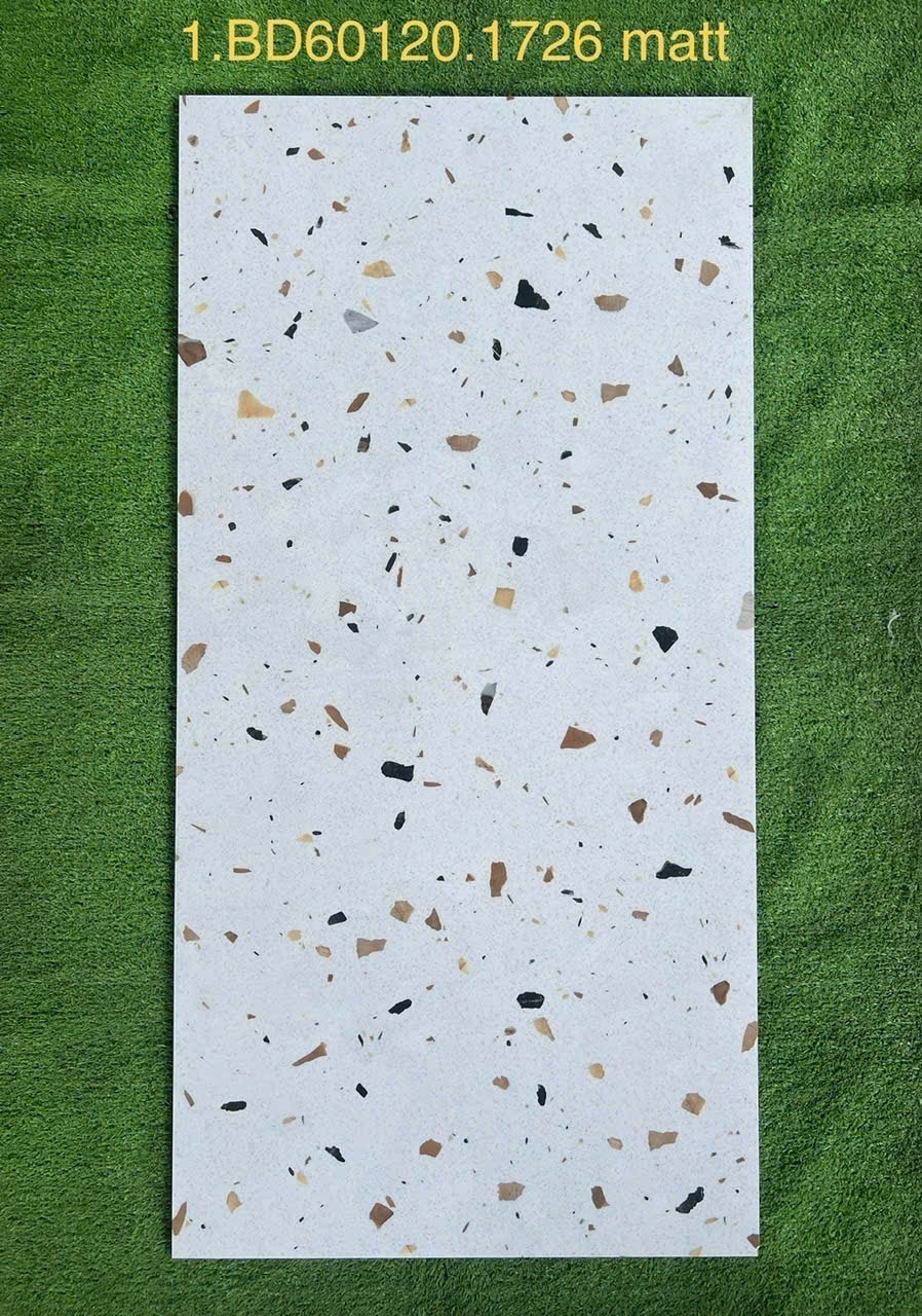 Gạch đá 60x120cm - 1726 Matt