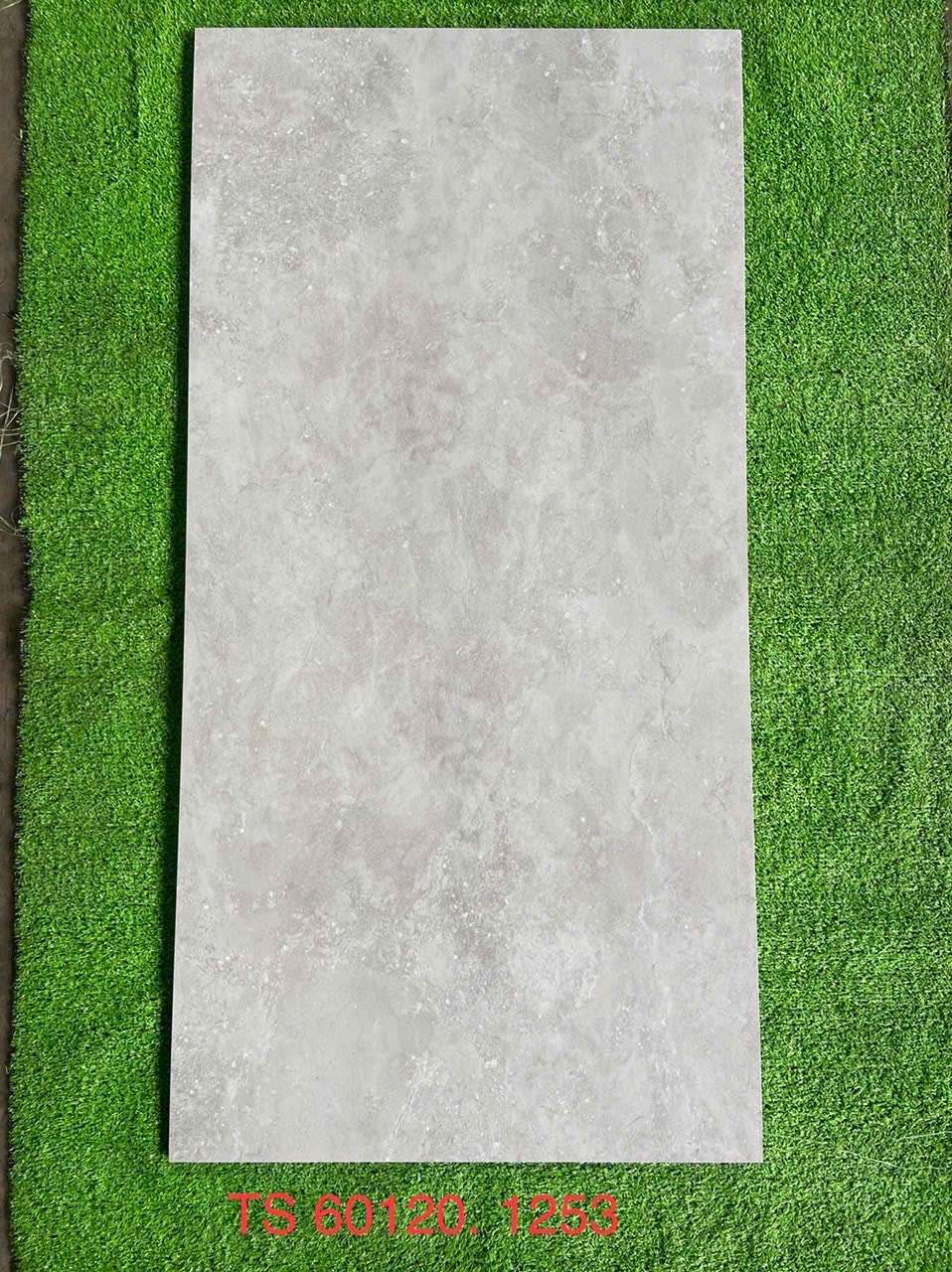 Gạch ốp lát 60x120cm - 1253