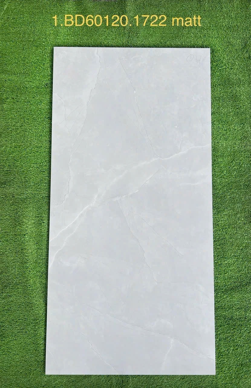 Gạch xương đá 60x120cm - 1722 Matt