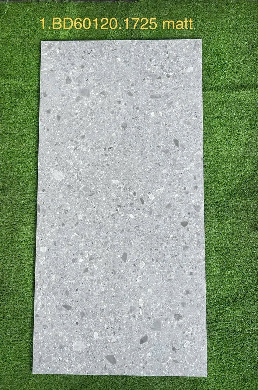 Gạch đá mờ 60x120cm - 1725 Matt
