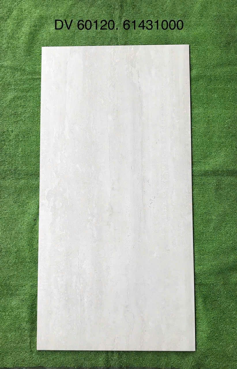 Gạch ốp lát 60x120cm - 61431000